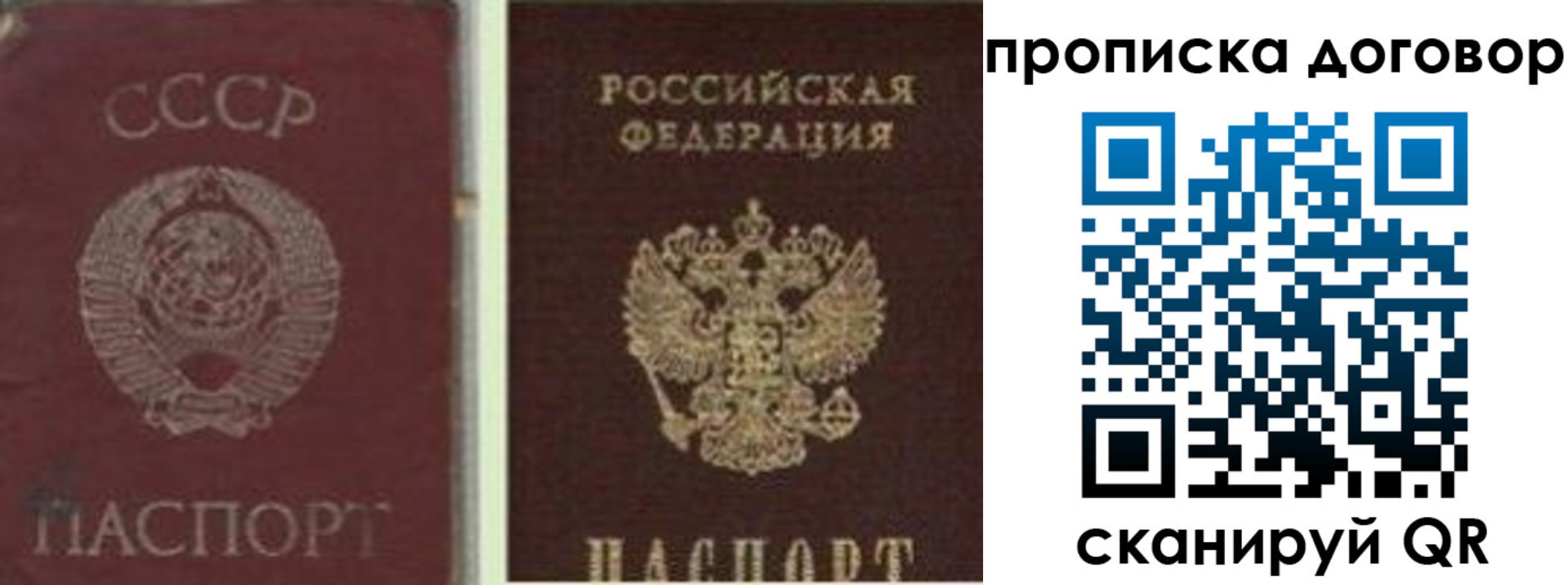 прописка гарантия в Юрге